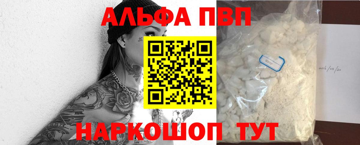 Альфа ПВП СК КРИС Элиста