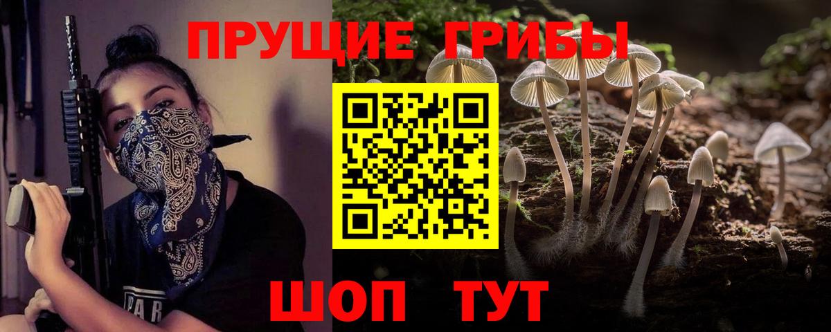 Псилоцибиновые грибы прущие грибы  Вход с VPN  Элиста  Псилоцибиновые грибы Psilocybine cubensis 