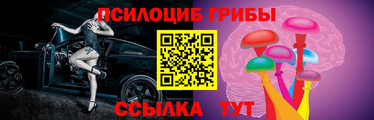 Галлюциногенные грибы Psilocybine cubensis Элиста